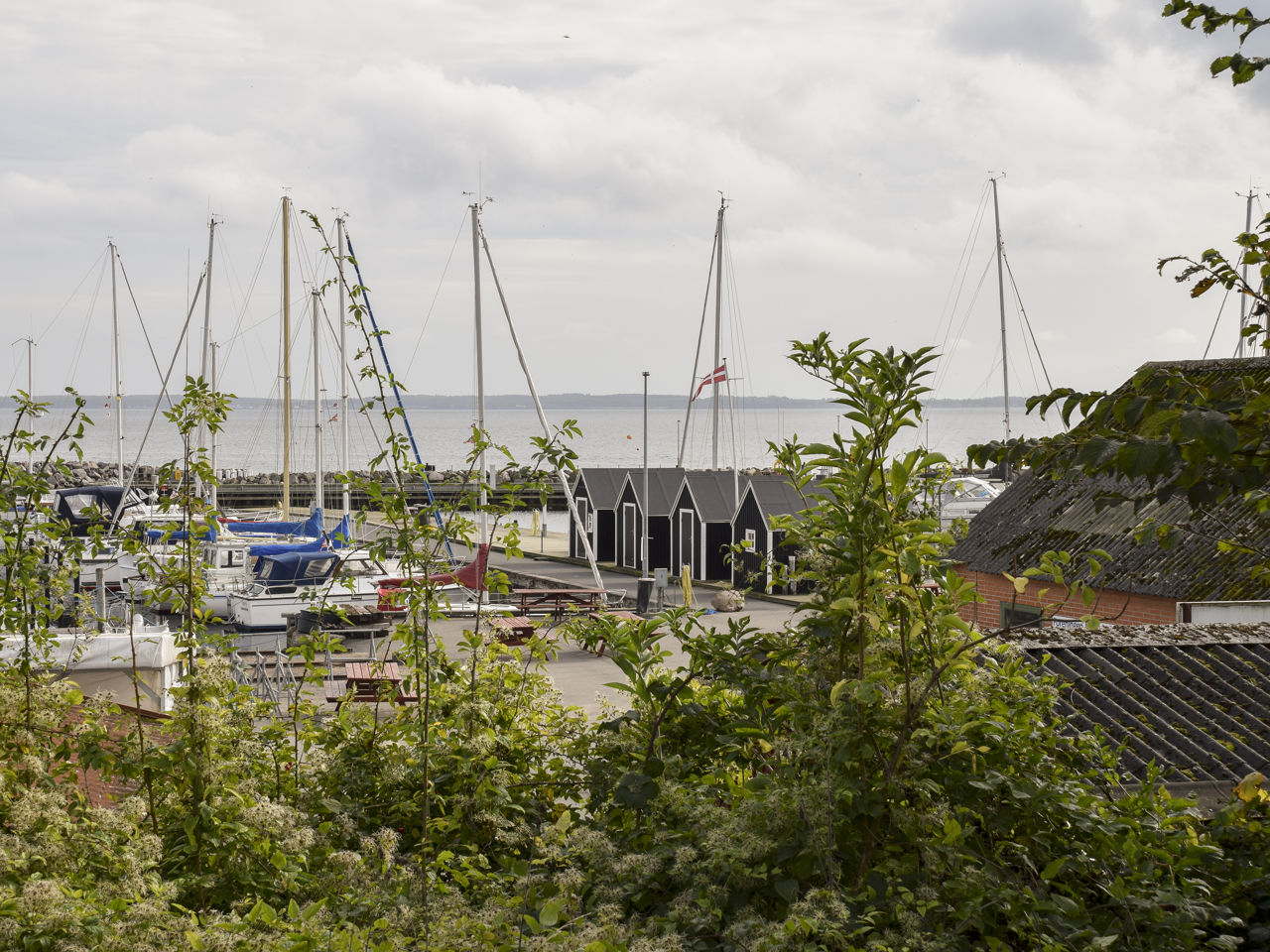 Kig gennem grønne buske ned til en lystbådhavn med både og små fiskerhuse