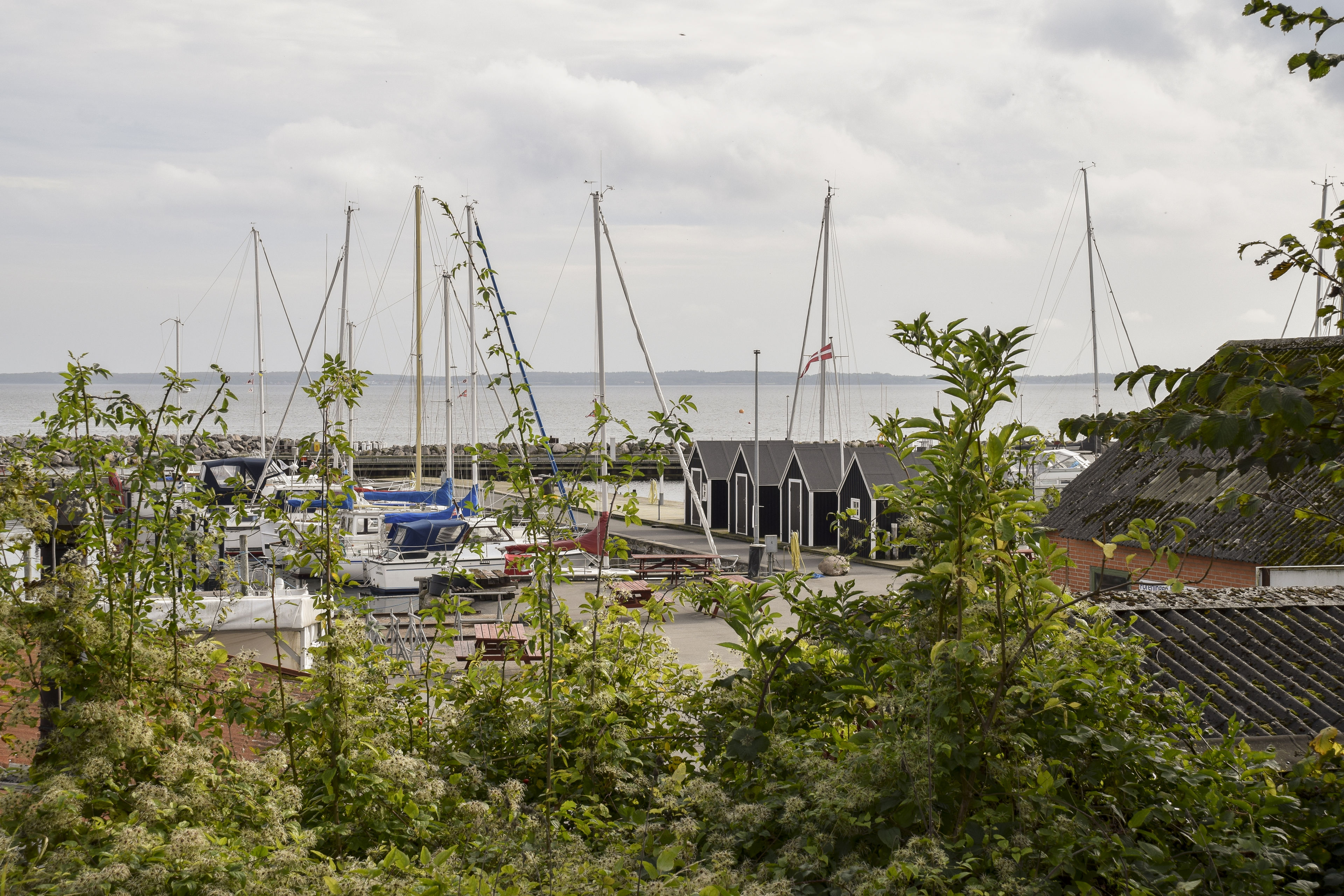 Kig gennem grønne buske ned til en lystbådhavn med både og små fiskerhuse