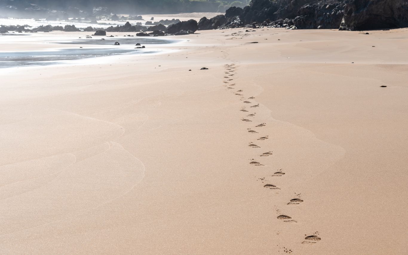 Fodspor i sand ved havet