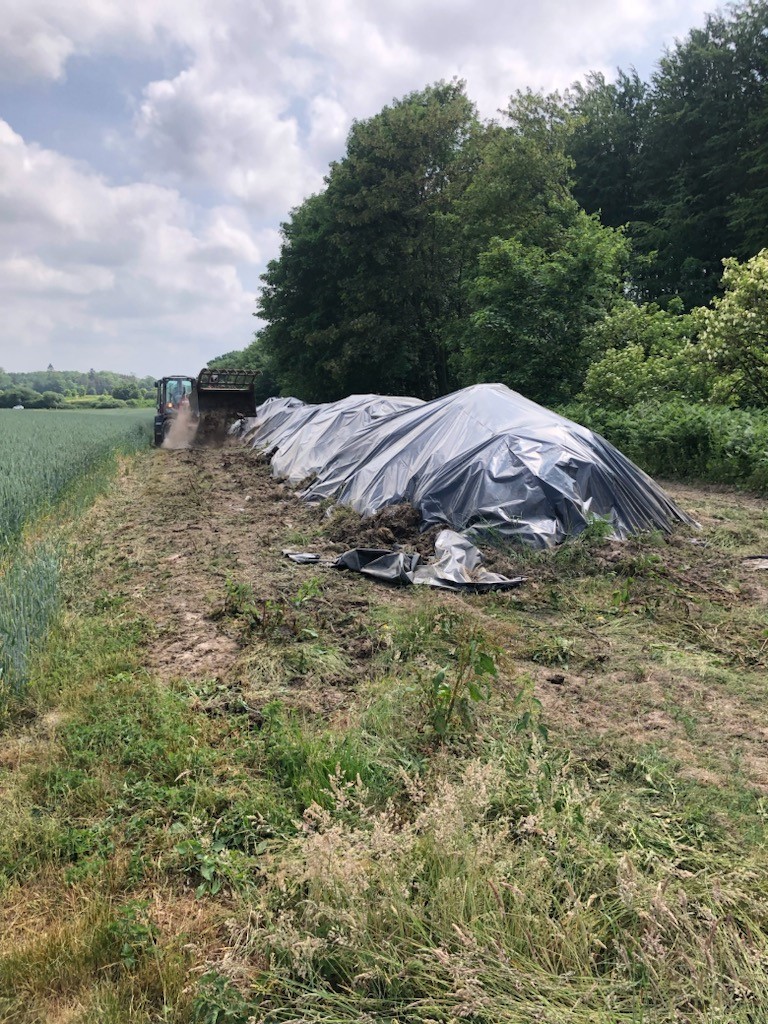 Markstak med fast husdyrgødning, som er overdækket med sort plastik. Placeret langs med levende hegn i mark. Traktor kører ved siden af