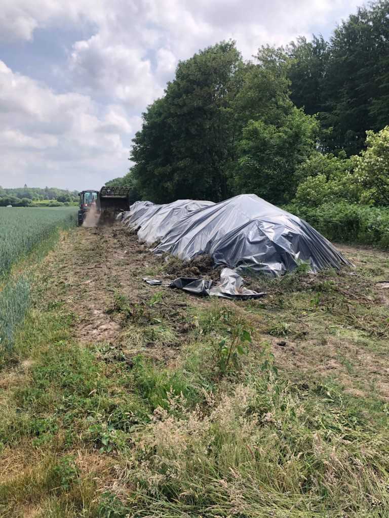 Markstak med fast husdyrgødning, som er overdækket med sort plastik. Placeret langs med levende hegn i mark. Traktor kører ved siden af
