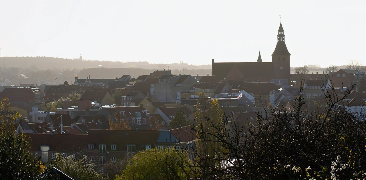 Billede, hvor man ser ud over Svendborg by