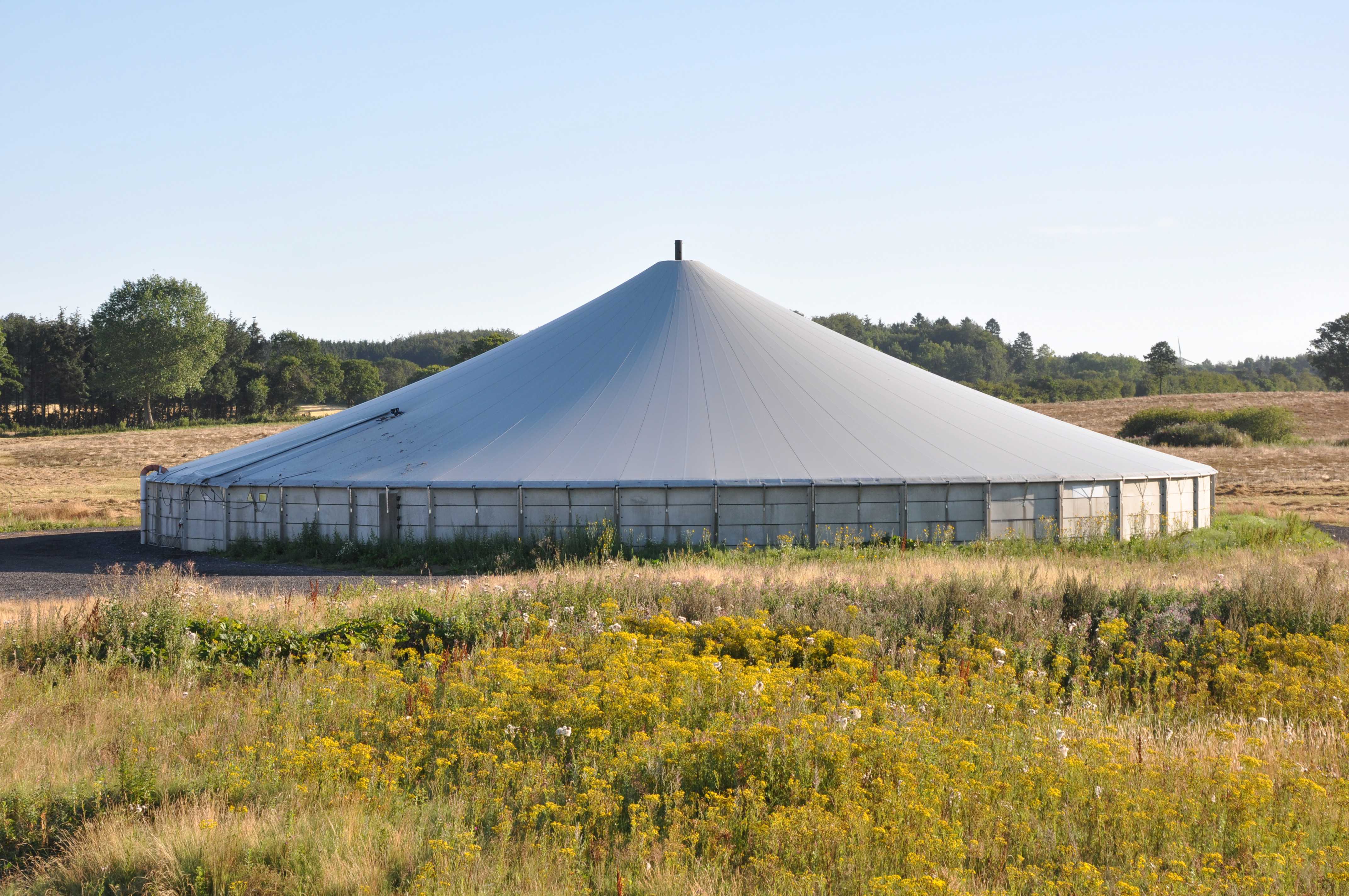 Gyllebeholder dækket med teltdug placeret i en mark med træer i baggrunden