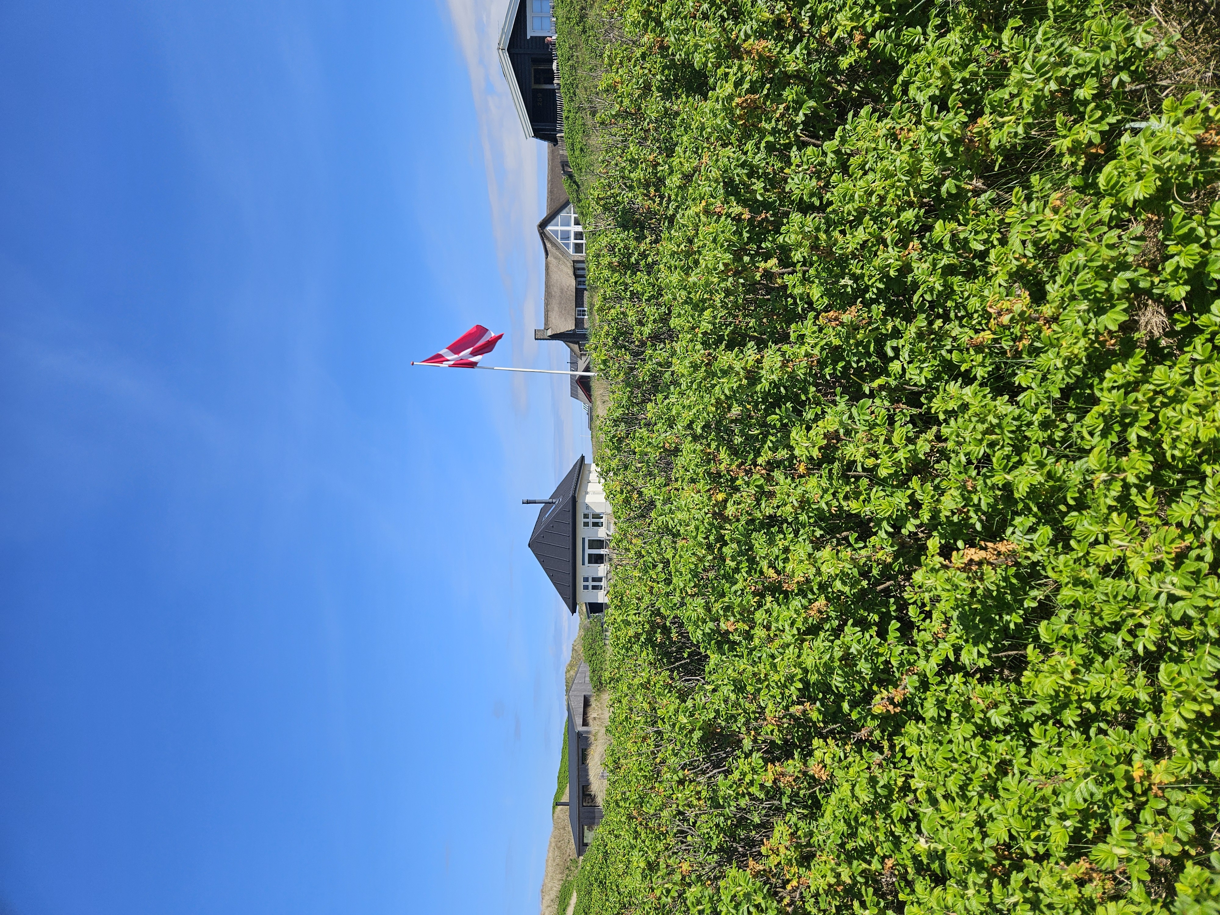 En flagstang med det danske flag ses i klitterne imellem sommerhustage