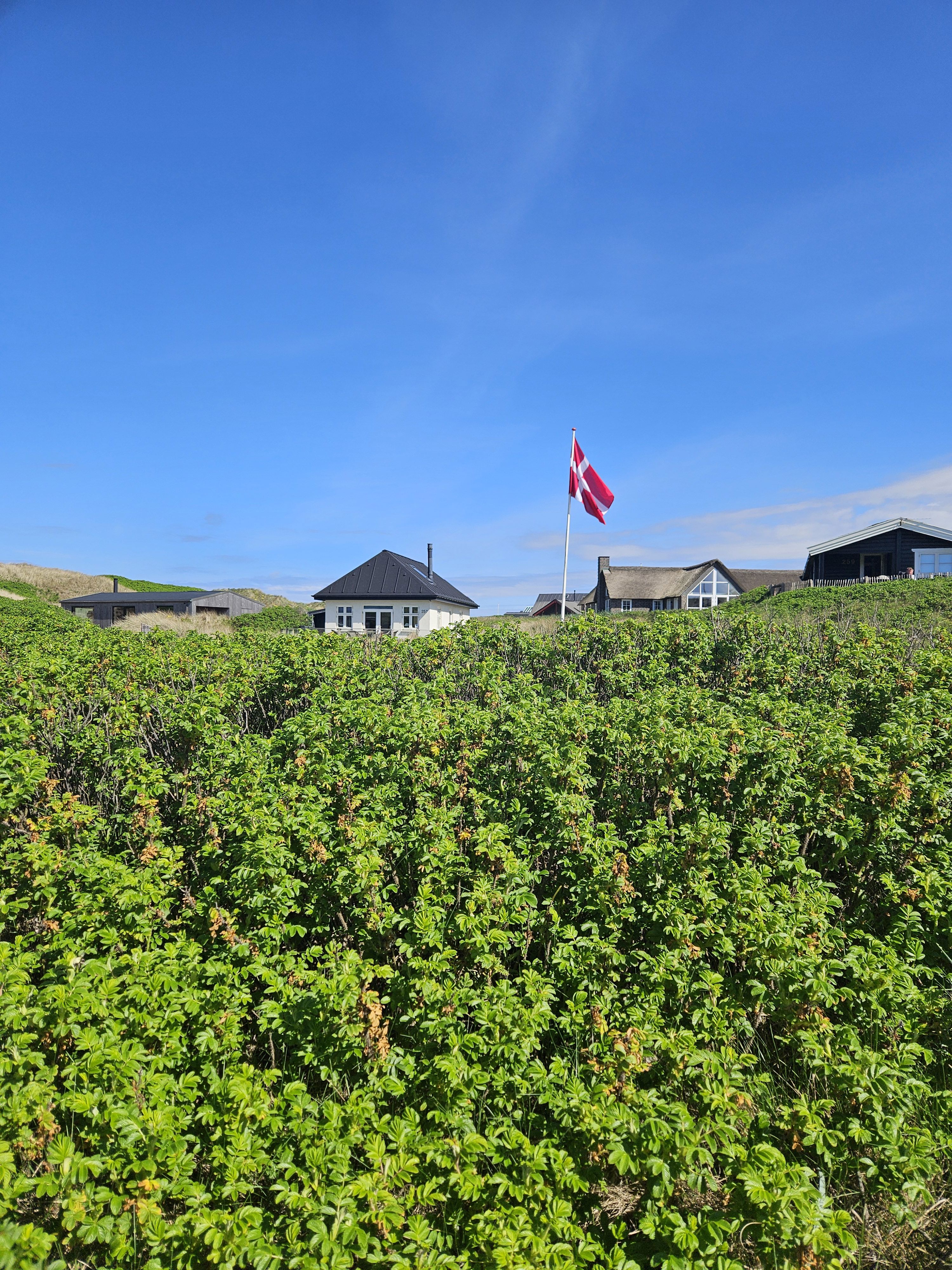 En flagstang med det danske flag ses i klitterne imellem sommerhustage