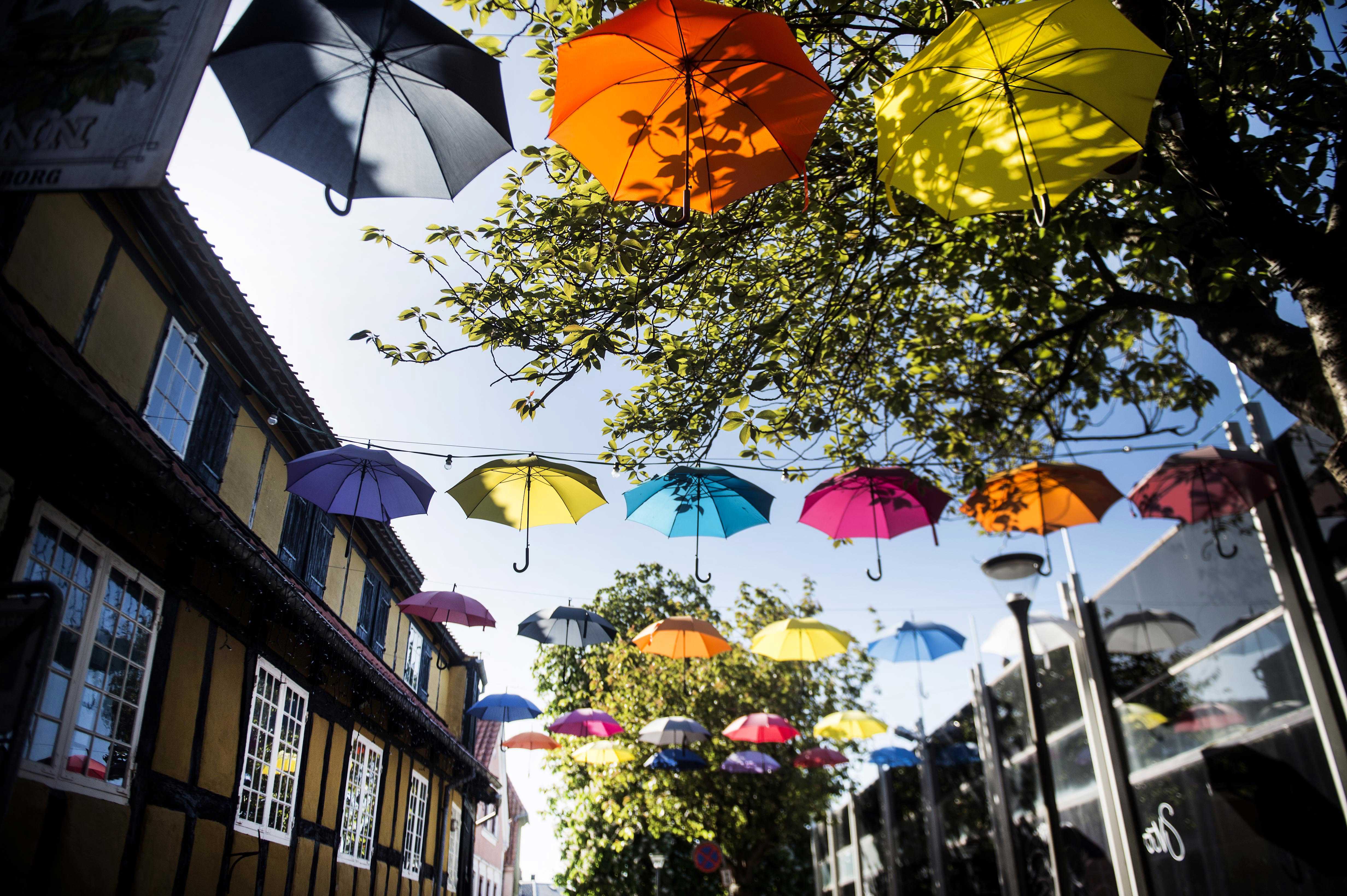 Paraplyer, der hænger i gågade