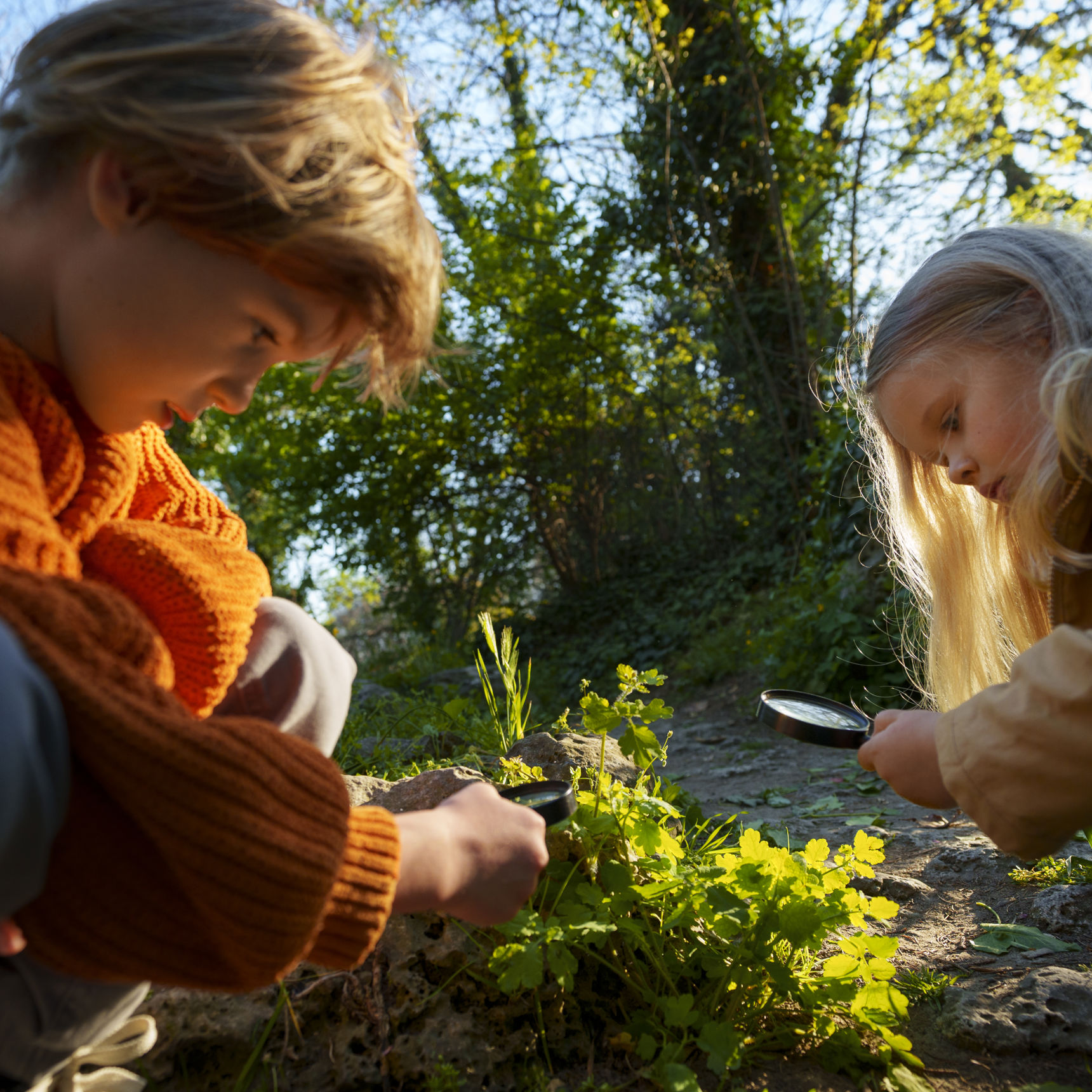 En dreng og en pige sidder på hug med hver sit forstørrelsesglas. De kigger på skovbunden.