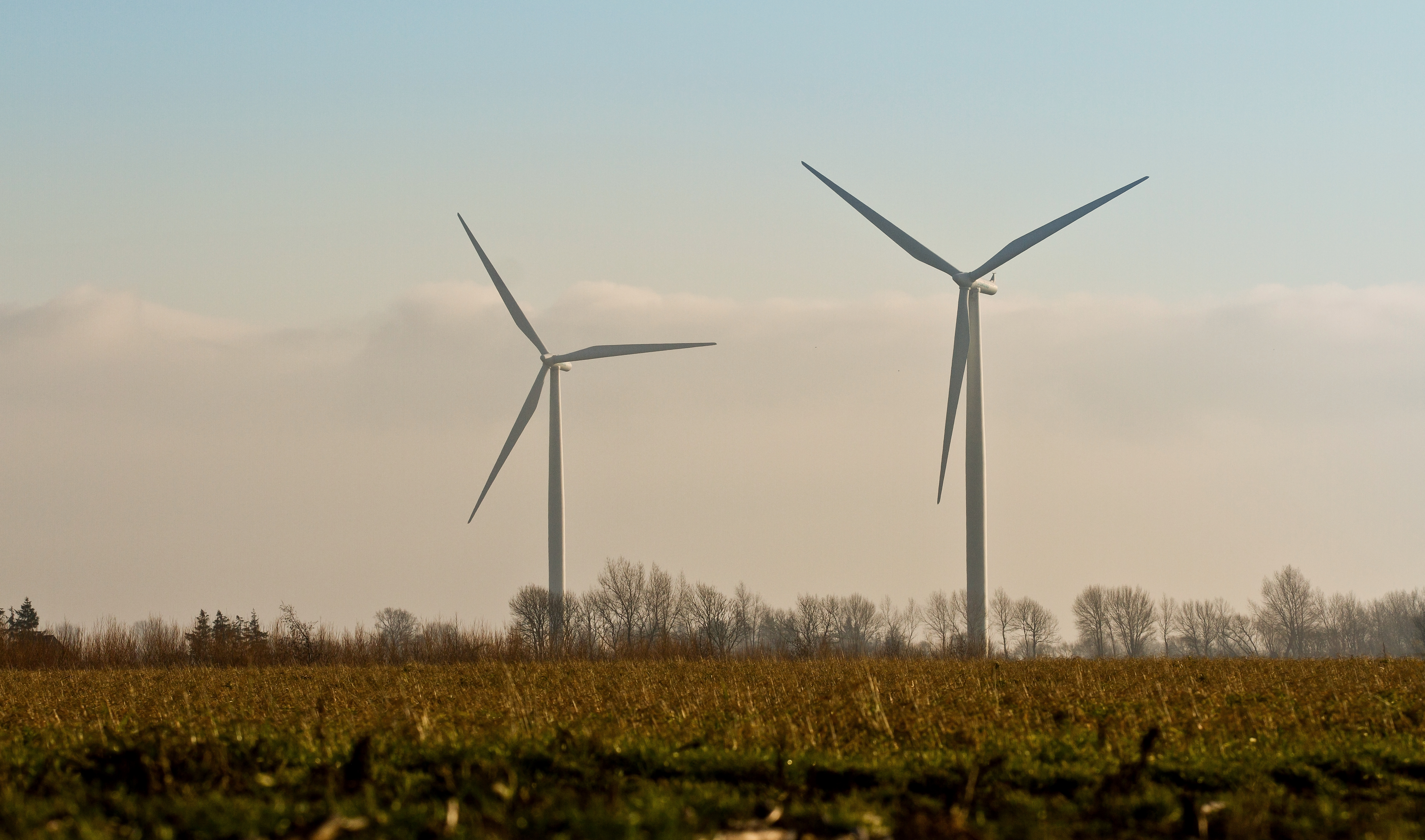 Vindmøller i horisonten på en mark