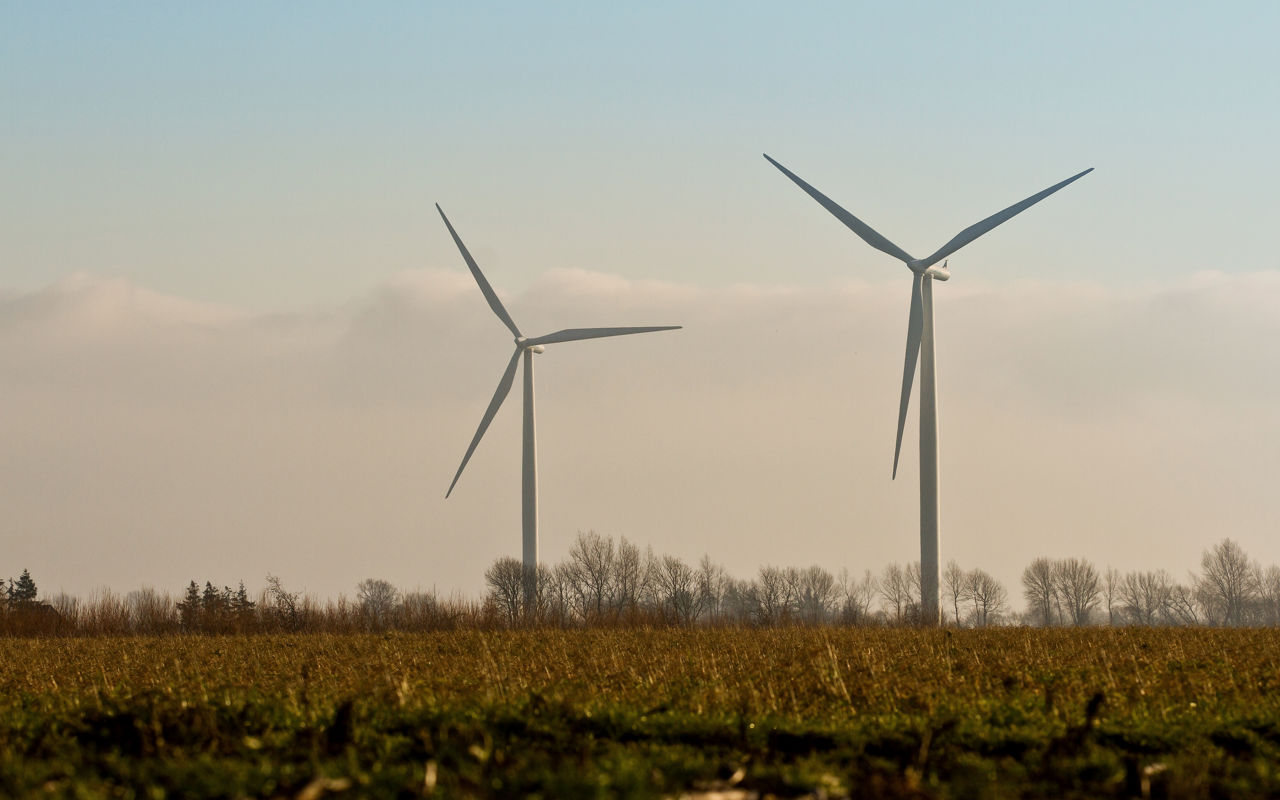 Vindmøller i horisonten på en mark