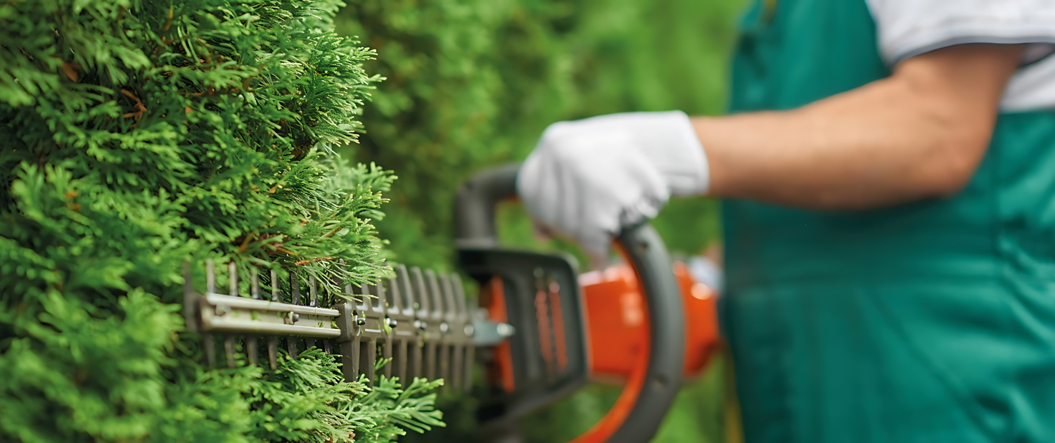 Mand klipper en hæk med en hækkeklipper