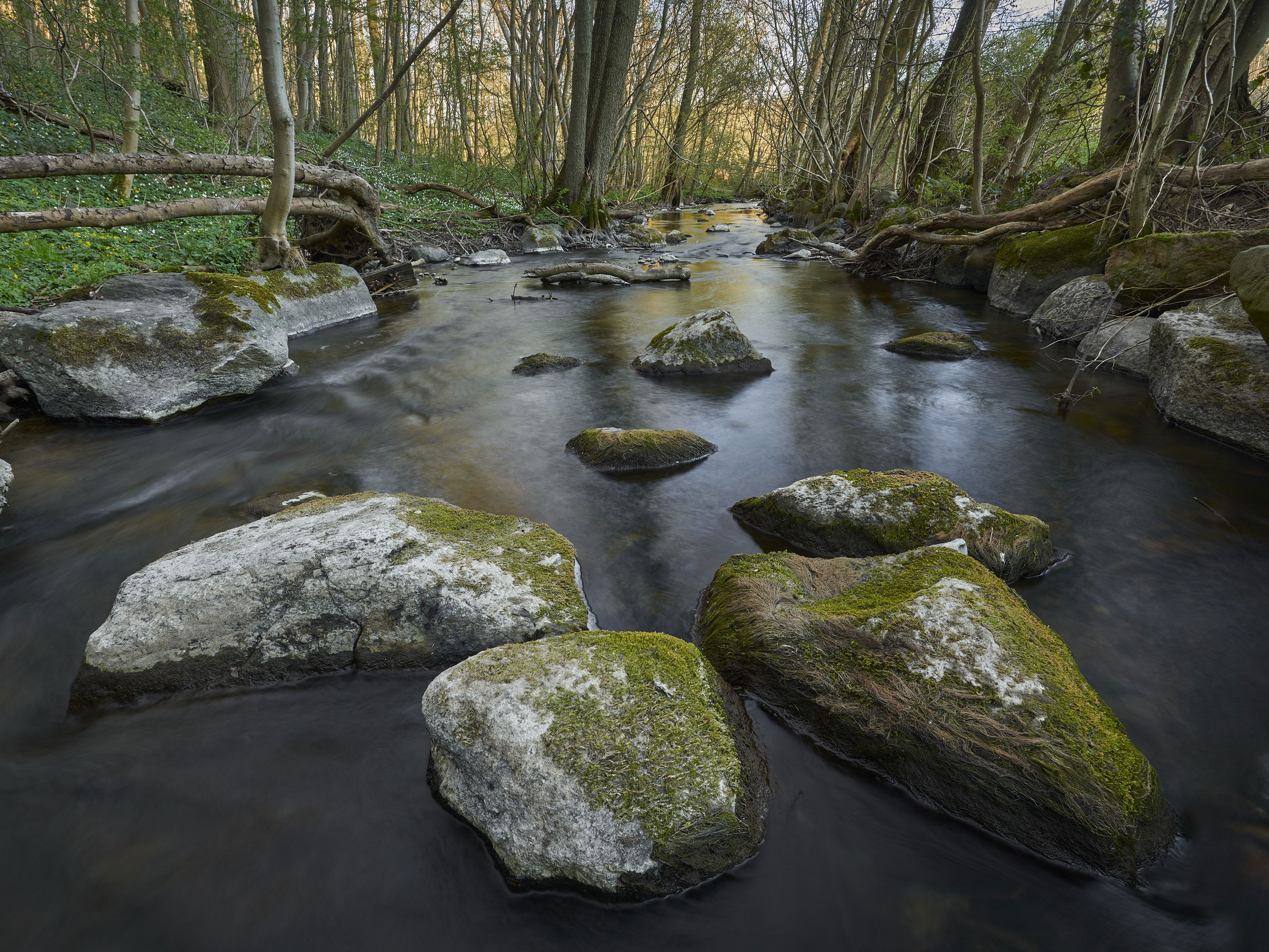 Landskab med å, store sten og skov