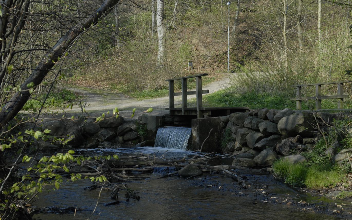 Trappebækken, et af kommunens mange vandløb
