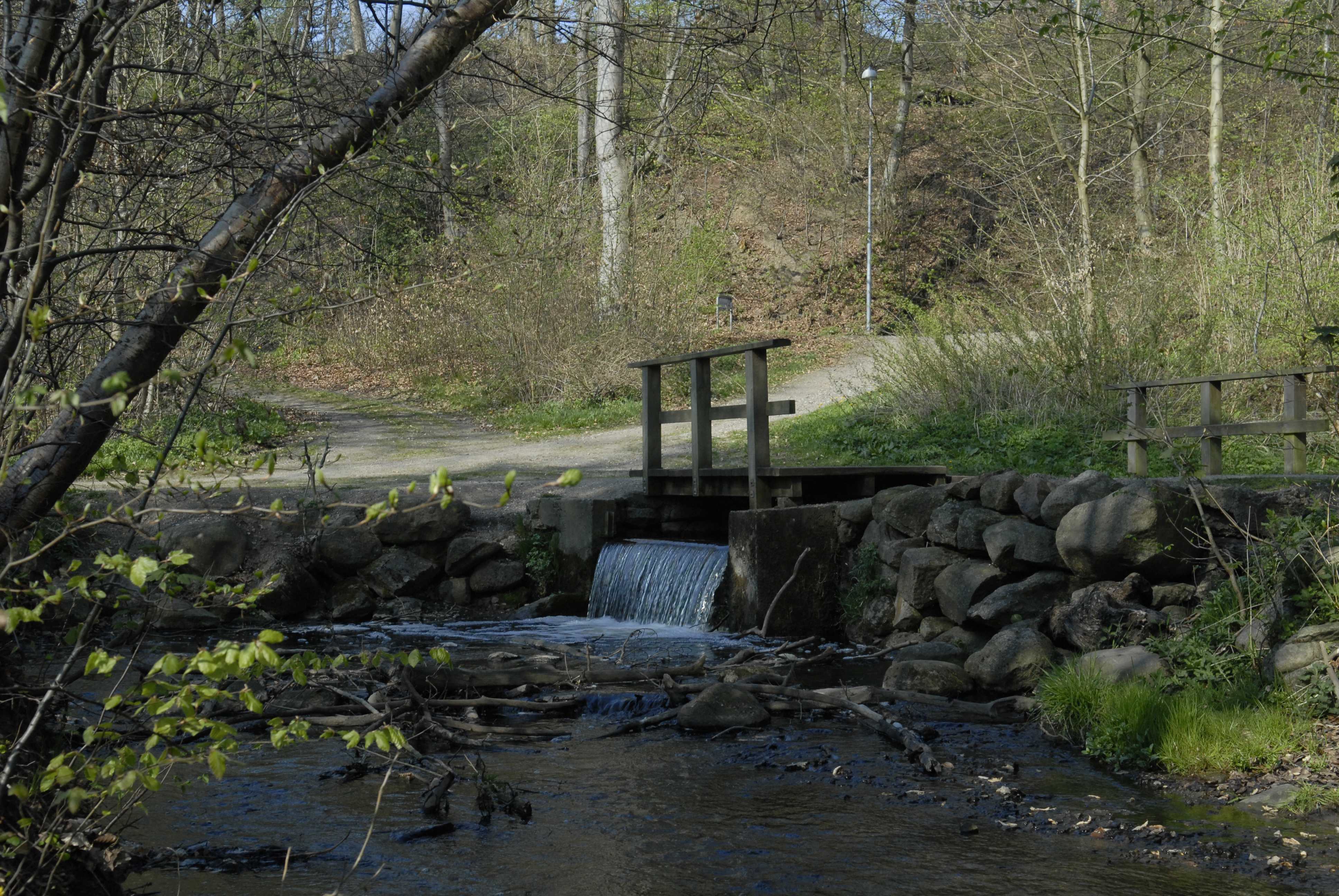 Trappebækken, et af kommunens mange vandløb