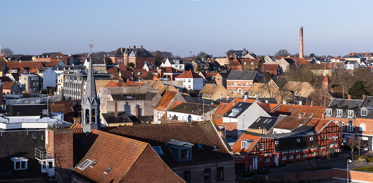 Billede over Svendborg by