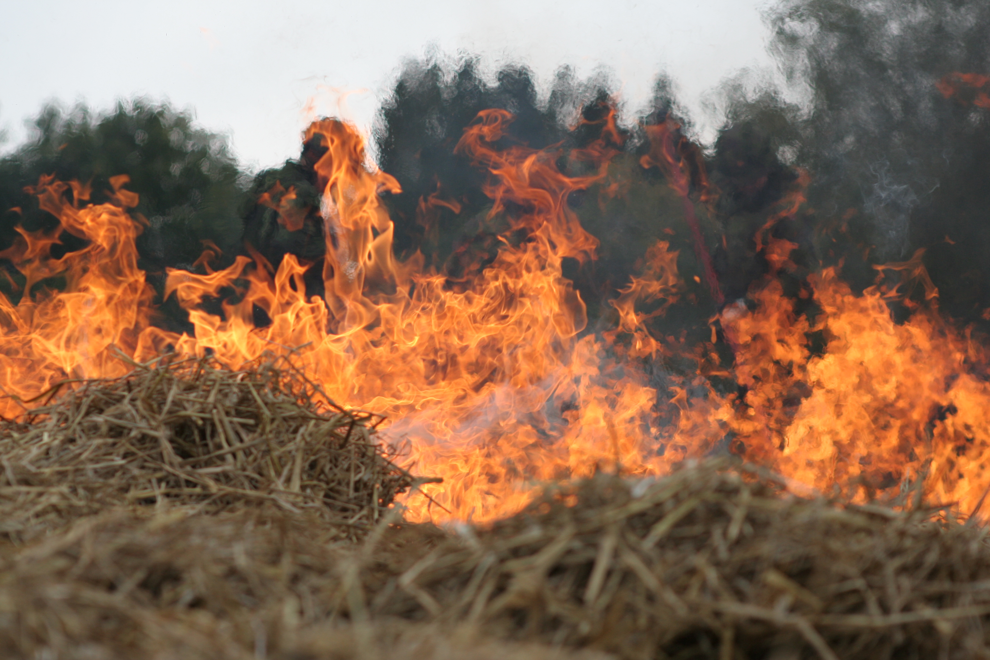 Store flammer i halm der brænder på en mark