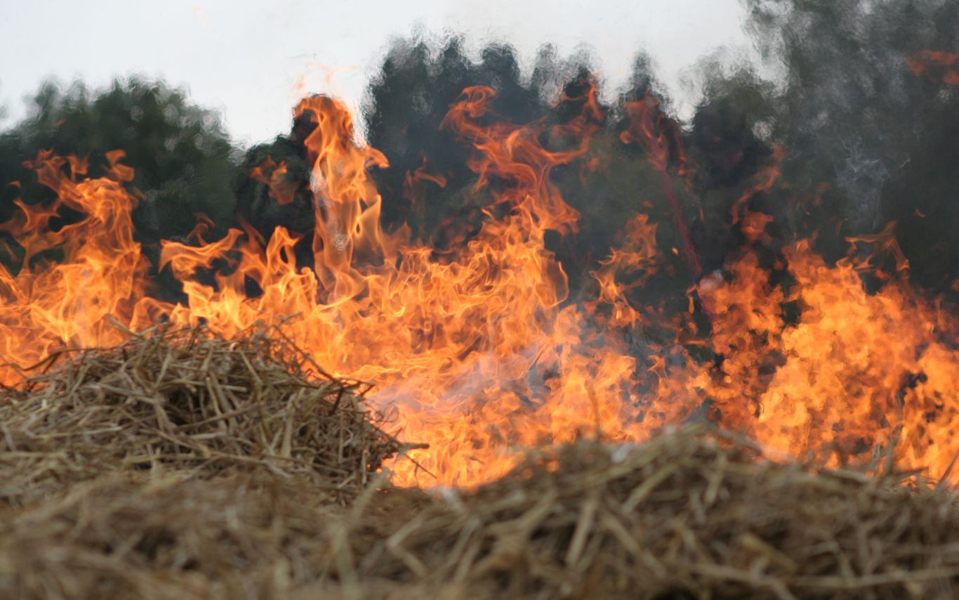 Store flammer i halm der brænder på en mark